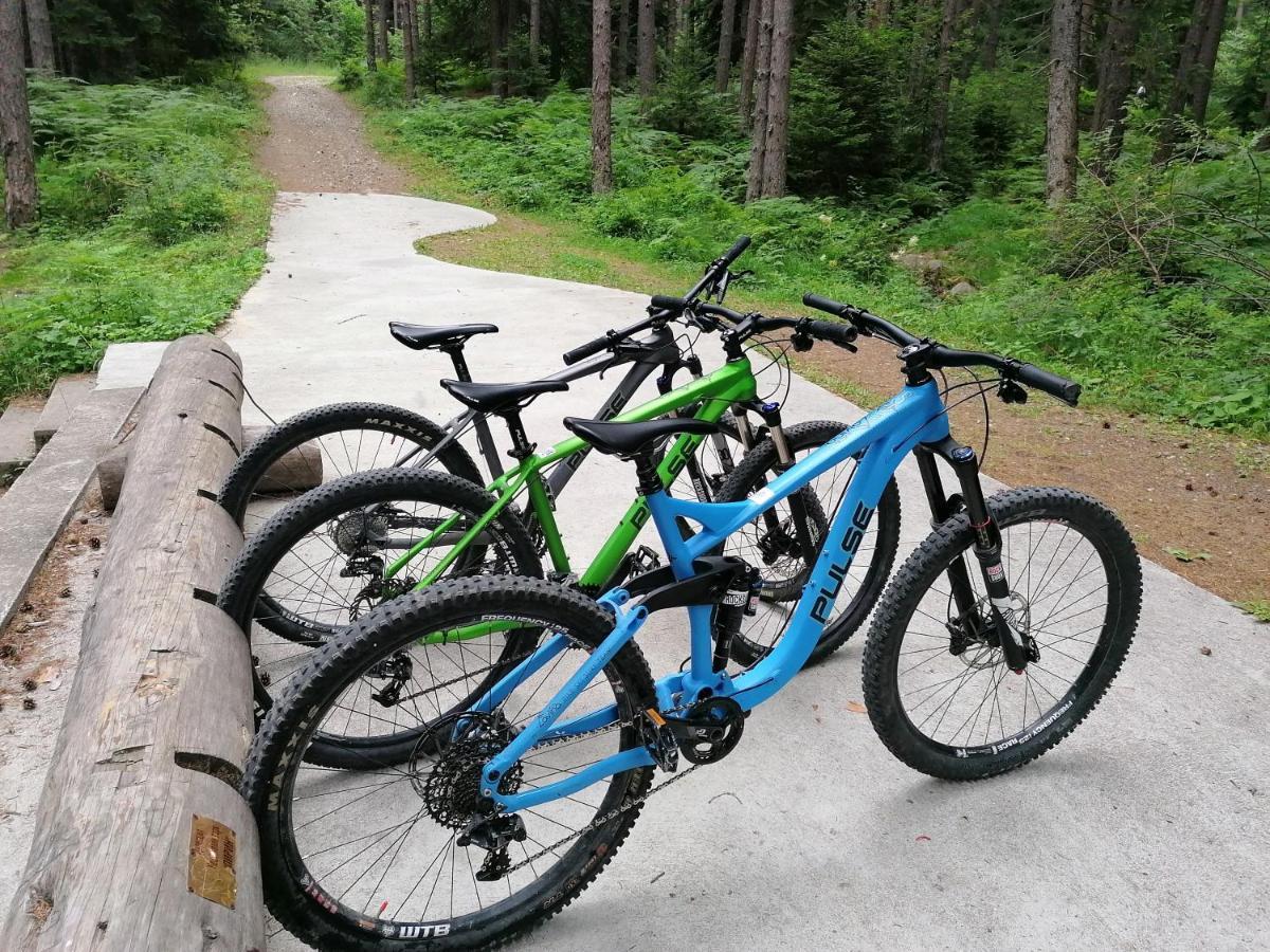 White Lavina - Ski, Bike, Hike Bansko Dış mekan fotoğraf